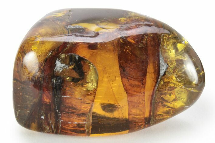 Polished Chiapas Amber ( g) - Mexico #232565